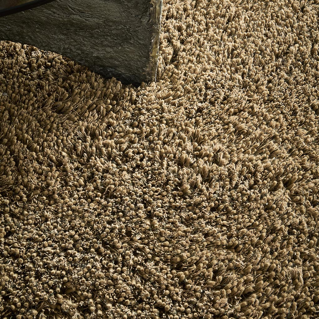 Sprout Dusty Ground 013319 250x350
