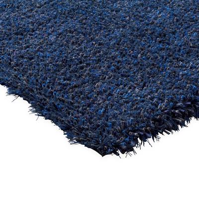Sprout Cobalt Eclipse 013308 200x300