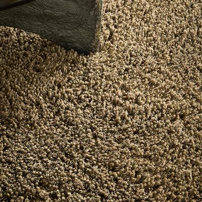 Sprout Dusty Ground 013319 250x350
