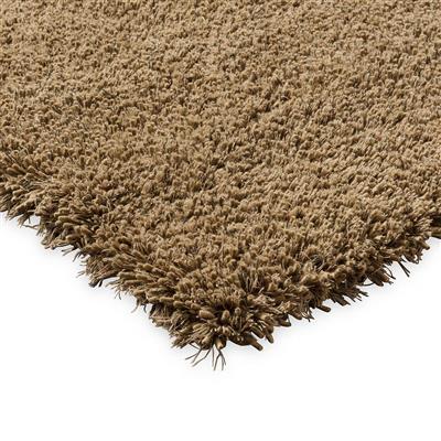 Sprout Dusty Ground 013319 250x350