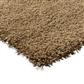 Sprout Dusty Ground 013319 250x350