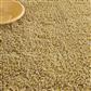Sprout Ceylon Sand 013326 140x200