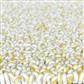 Trace loop pile turmeric yellow 121006 140x200