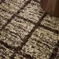 Craft Jack Bear Brown 149405 160x230
