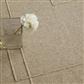 Senso Level Natural 199201 140x200